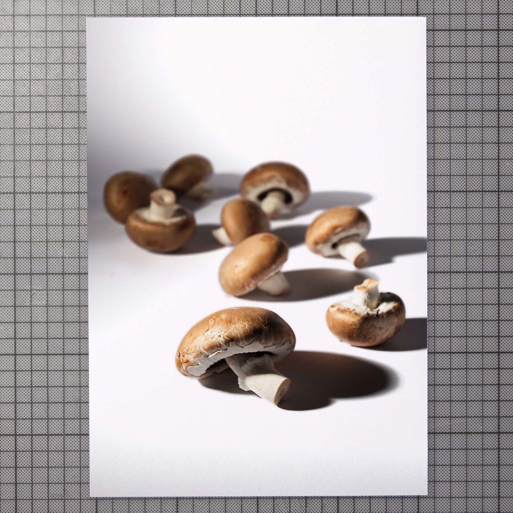 auf der fotografie sind champignons in dramatischem licht abgebildet.
