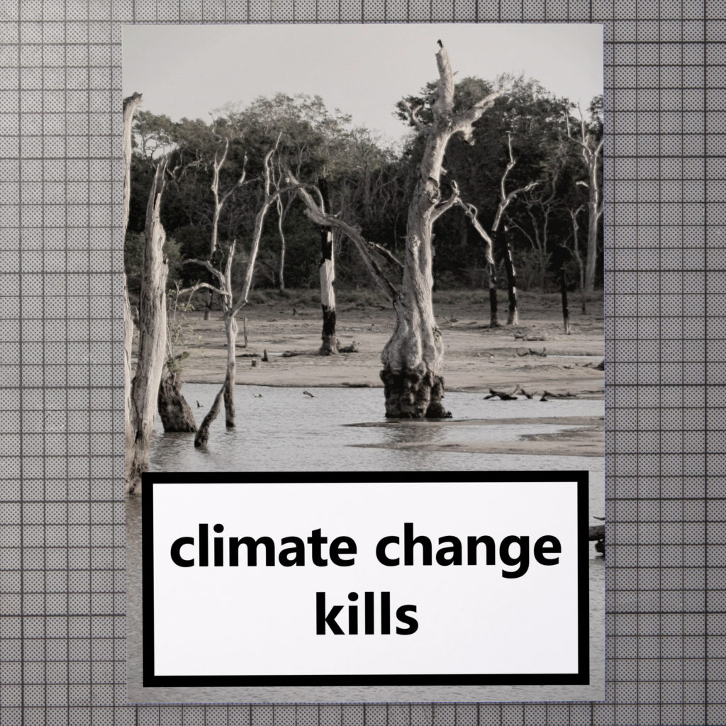 das plakat zeigt die warnung »climate change kills« wie die warnung auf zigarettenpackungen auf einem hintergrund einer abgestorbenen landschaft.