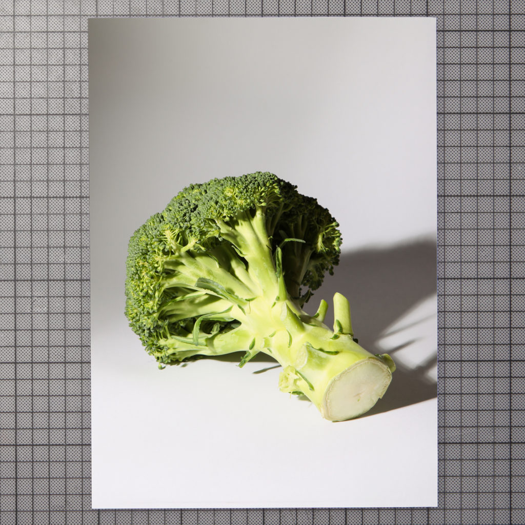photograph shows a broccoli on white background