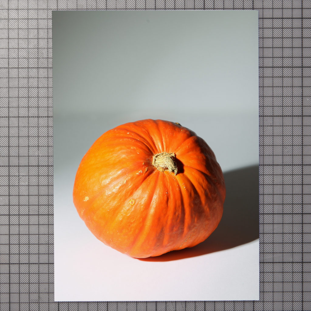 photograph shows a pumpkin