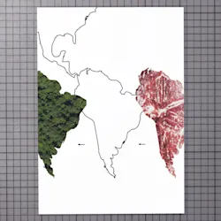 das poster zeigt die umrisse von südamerika. die fläche ist dargestellt als regenwald und wird mit einer fläche aus fleisch ausgetauscht.
